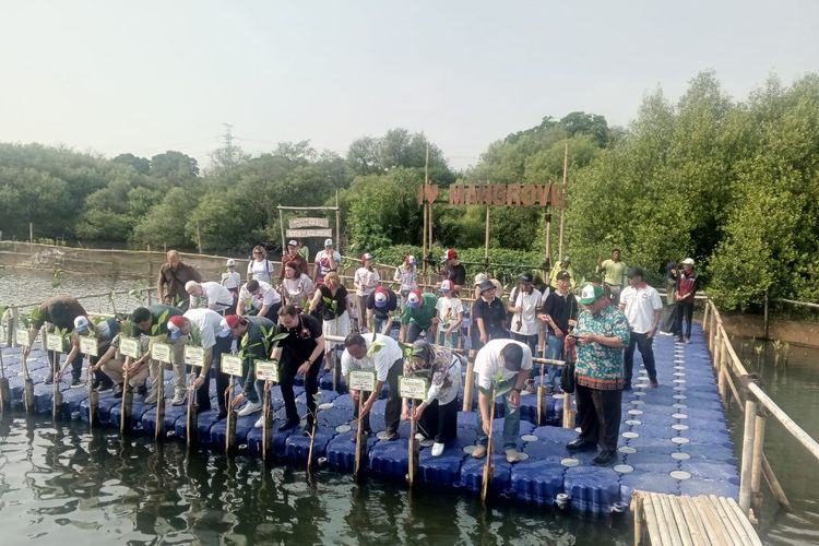 Peringati Kemenangan Lawan Nazi, Rusia Tanam Mangrove di Jakarta
