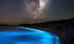 Misteri Milky Seas: Mengapa Lautan Kadang Terlihat Bercahaya?