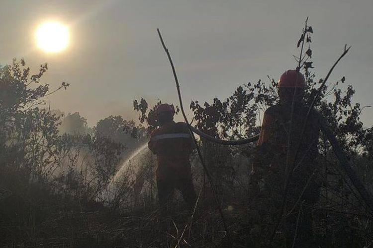 Menjelang magrib petugas Manggala Agni Daops Pekanbaru masih berjibaku memadamkan api kebakaran lahan di Kelurahan Air Hitam, Kecamatan Payung Sekaki, Pekanbaru, Riau, Jumat (19/7/2019).