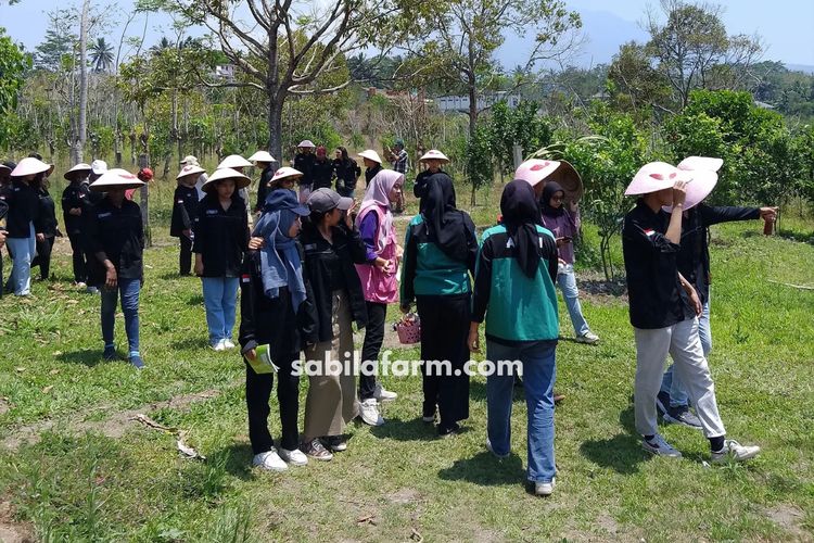 Kegiatan edukasi di Sabila Farm Sleman