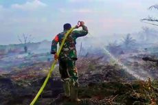 Kebakaran Hutan di Rokan Hulu Riau Tak Kunjung Padam, Digempur dari Darat dan Udara