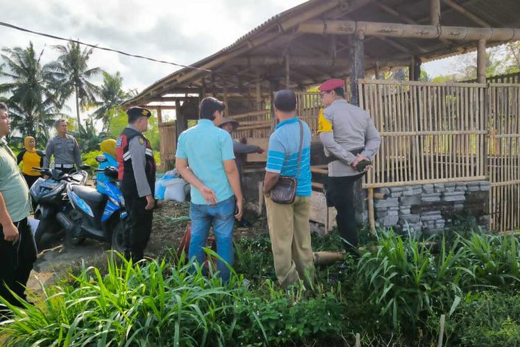 Kandang kambing di tengah kebun cabai di Padukuhan Bedoyo, Kalurahan Karangsewu, Kapanewon Galur, Kabupaten Kulon progo, Daerah Istimewa Yogyakarta. Pemilik mengaku kehilangan 12 kambing dalam semalam.
