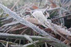 Suhu Dieng Minus 1 Derajat Celsius, Embun Es Kembali Muncul