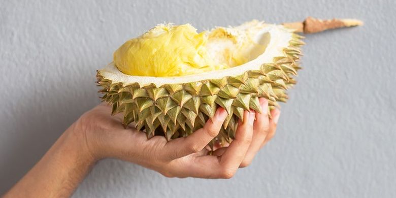 Ilustrasi durian.