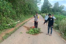 Pemuda Tewas Tertimpa Pohon Lapuk Saat Sedang Naik Motor  