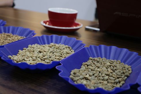 Kopi Sanggabuana, Kopi Robusta Tinggi Kafein dengan Rasa Lebih Pahit