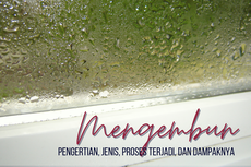 Mengembun: Pengertian, Jenis, Proses Terjadi, dan Dampaknya