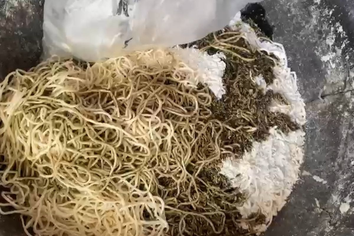 Balai Besar Pengawasan Obat dan Makanan (BPOM) Kota Semarang, Jawa Tengah (Jateng) gerebek pabrik mi yang mengandung bahan berbahaya. 