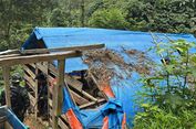Kemenhut Temukan 411 Lubang Tambang Emas Ilegal di Gunung Halimun Salak