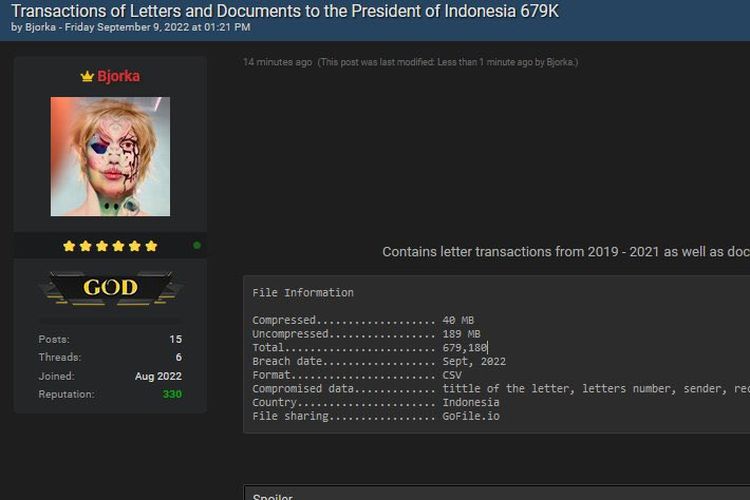 Bjorka sebut berhasil retas database dari Presiden RI.