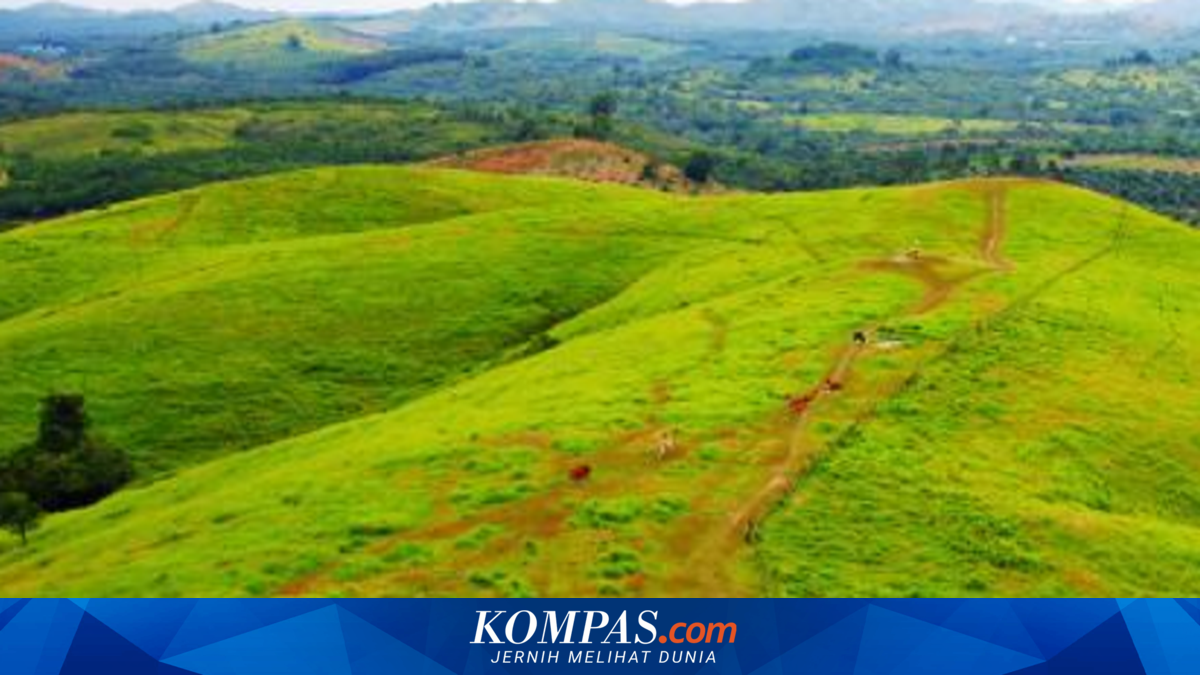 Bukit Rimpi: Letak, Daya Tarik, dan Rute