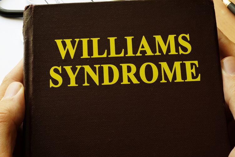 Ilustrasi Sindrom William