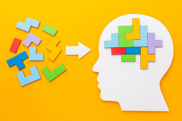 Ilustrasi otak. Senyawa alami dalam lidah buaya dinilai mampu memengaruhi proses biologis yang berperan dalam penurunan daya ingat.