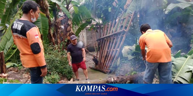 Pohon Tumbang akibat Angin Kencang Rusak Sejumlah Rumah Perbukitan Menoreh