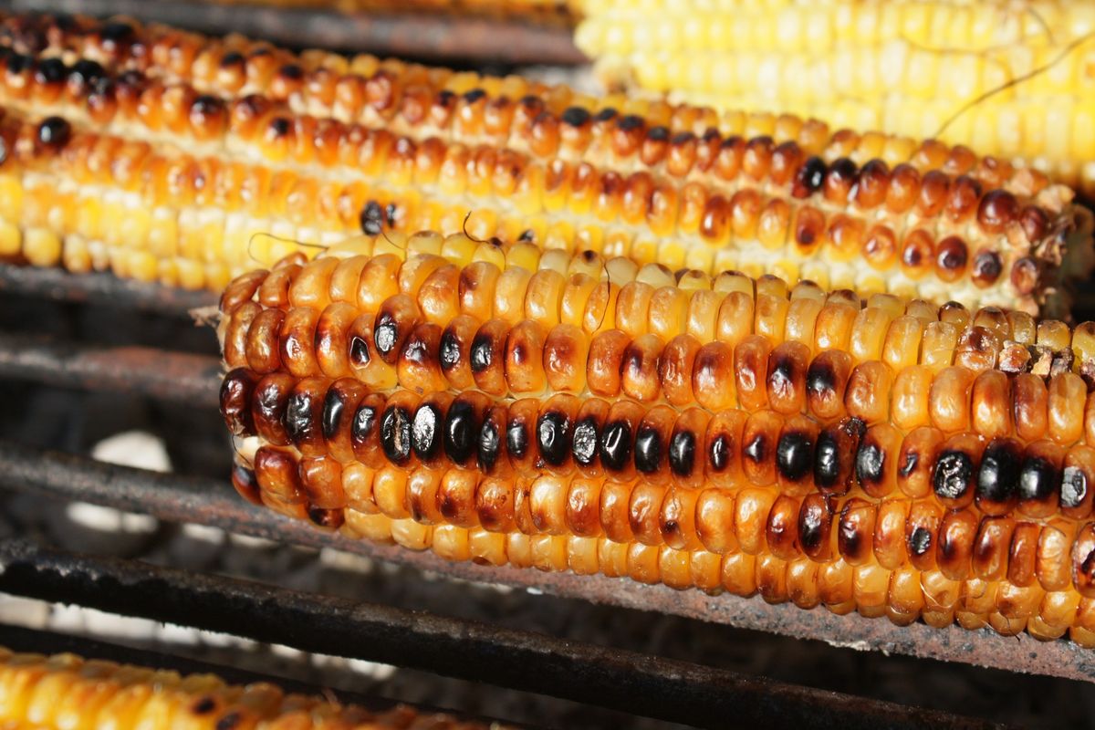 Ilustrasi jagung bakar