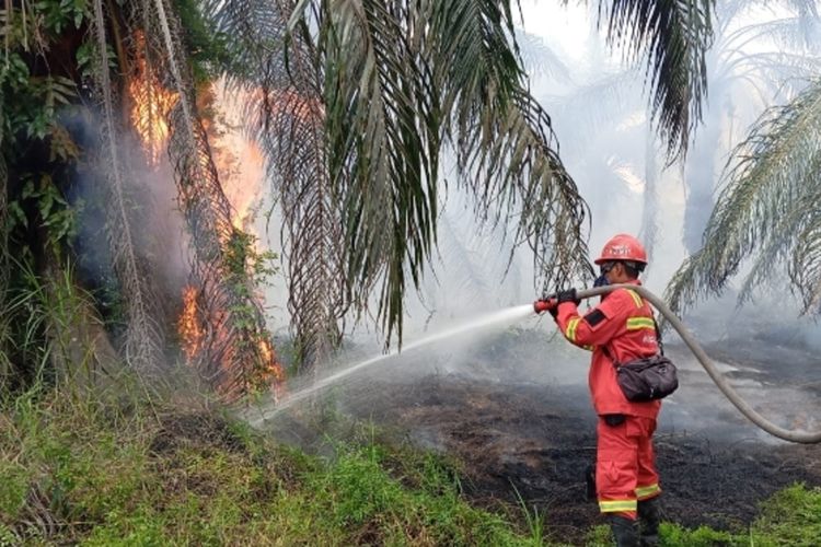Karhutla 20 Hektare di Siak Riau, Cuaca Panas Jadi Kendala, Water Bombing Dikerahkan