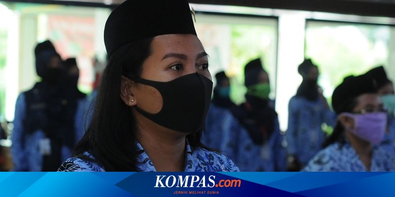 ASN: Pengertian, Bedanya dengan PNS dan PPPK serta Besaran Gajinya - Vimarsana News