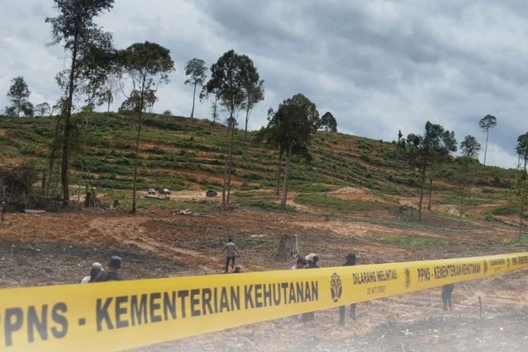Terdakwa Kasus Perambahan Hutan Lindung Sungai Wain Dituntut 8 Tahun Penjara dan Ganti Rugi Rp 297 Miliar