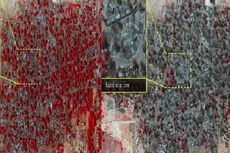 Citra Satelit Ungkap Kekejaman Boko Haram