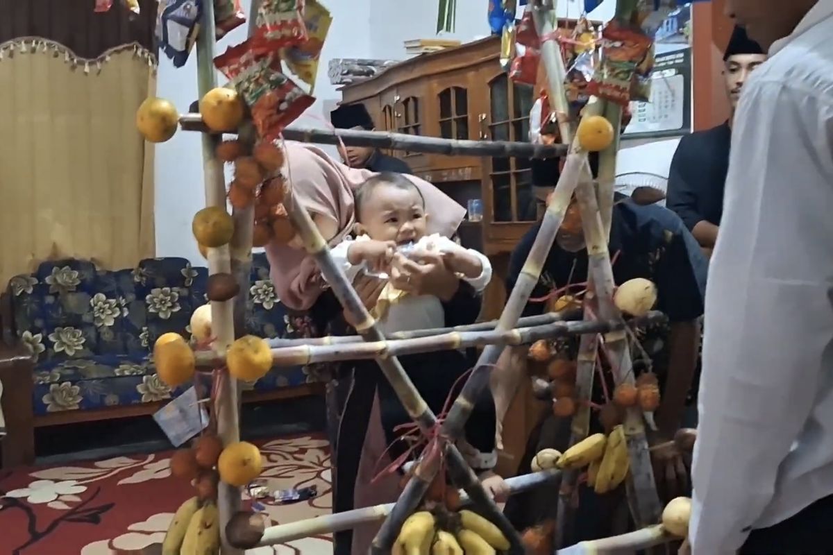 Anak Taufik Hidayat dituntuk menaiki tangga tebu dalam prosesi Tedak Siten.