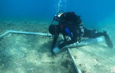 Tangkapan layar ekspedisi penemuan jalan kuno berusia 7.000 tahun di dasar laut Mediterania yang dilakukan para arkeolog dari University of Zadar.