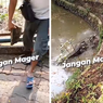 Viral, Video Pengunjung Lempar Batu ke Kolam Buaya di Kebun Binatang Ragunan, Pengelola: Bentuk Pelanggaran!