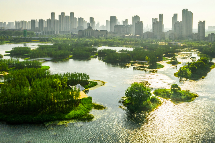 Fish Tail Sponge Park di Nanchang,