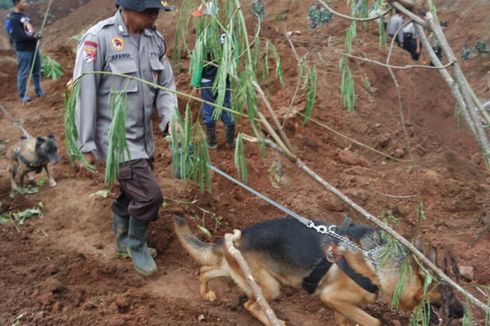 Pencarian Korban Longsor Ponorogo, Polisi Tambah 5 Anjing Pelacak
