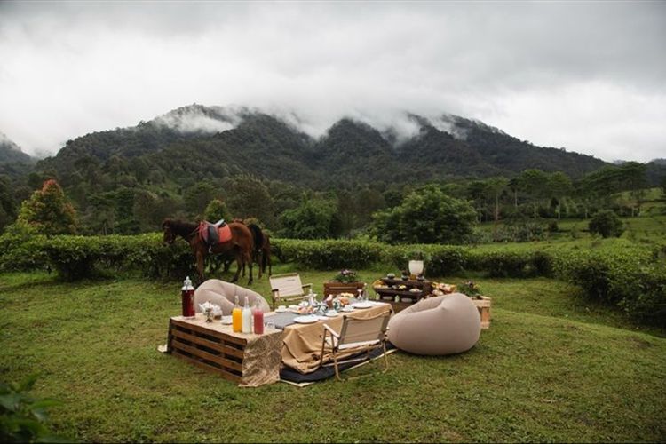 Tea Garden Alfresco di perkebunan teh Gunung Mas. 