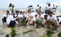 Bangun Ekosistem Ekonomi Hijau, Maximus Tanam 10.000 Mangrove