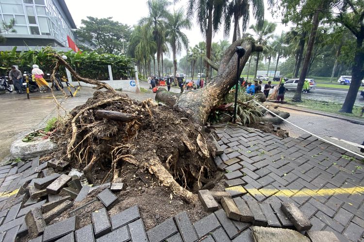 Angin kencang yang menyertai hujan deras menerjang kawasan Kota Baru Parahyangan, Kabupaten Bandung Barat (KBB), Jawa Barat pada Jumat (23/1/2026) sore.