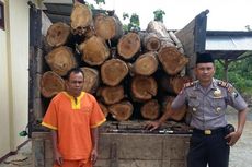 Polisi Kembali Tangkap Pencuri Kayu Jati di Lamongan