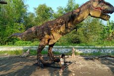 Jalan ke Taman Dinosaurus Potorono, Wisata Anak Yogyakarta yang Gratis