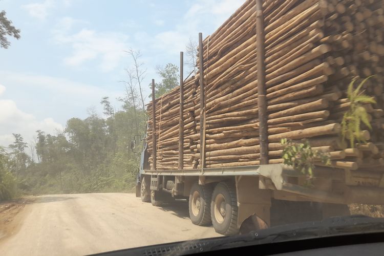 Di Balik Kemitraan Perhutanan Sosial dan Industri Eukaliptus di Jambi, Ada Petani yang Kehilangan Lahan