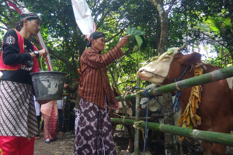 Sesepuh Dusun Pokoh 2 membasuh ternak dalam tradisi Guyangan, Minggu (20/8/2017).