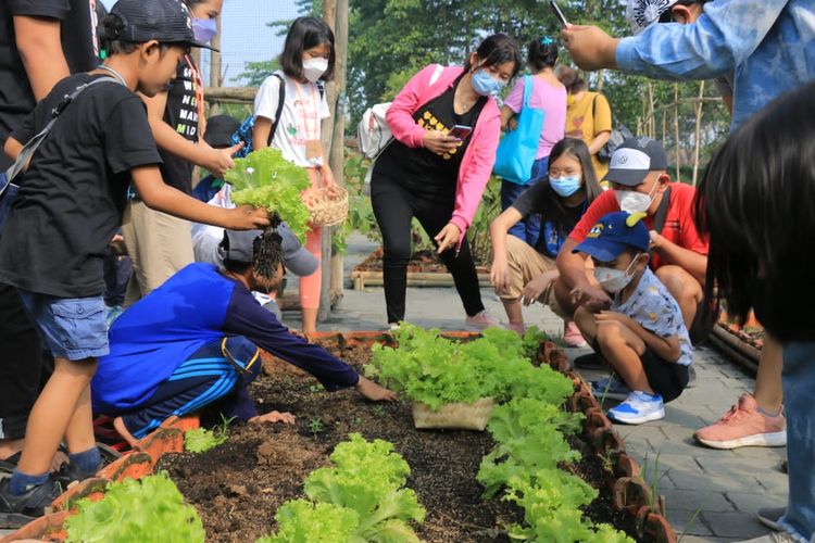 Dalam menjalankan kegiatan edukasi kepada warga, Komunitas Hayu Hejo menghidupkan laboratorium tanam yang diakomodasi manajemen KBP, yakni ECO GARDEN ? KHH Kota Baru Parahyangan. Wahana tersebut berupa lahan untuk melakukan berbagai penelitian, salah satunya pengaruh ekoenzim terhadap pertumbuhan tanaman sayuran dan kualitas air kolam ikan.