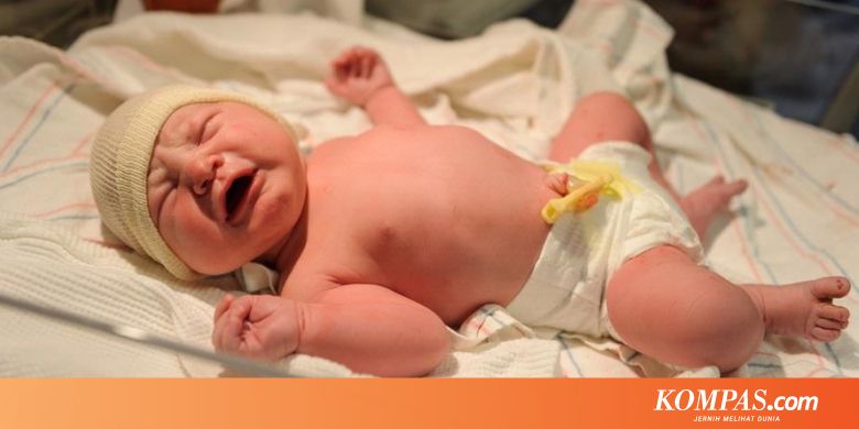 Sebutkan Faktor Penyebab Gangguan Sistem Pencernaan - Sebutkan Mendetail