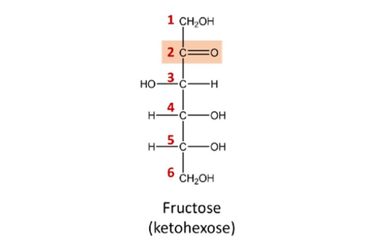 Struktur fruktosa yang merupakan ketoheksosa.