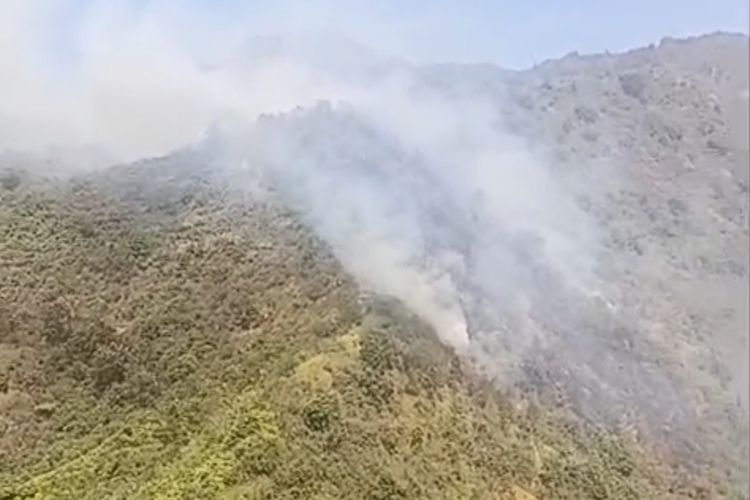 TNBTS Kembali Terbakar, Titik Api Berada di Lereng Bromo