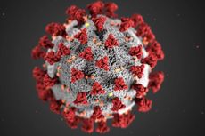 Dinkes DKI: Cara Terbaik Hambat Penyebaran Virus Corona B.1.1.7 dengan Isolasi yang Ketat