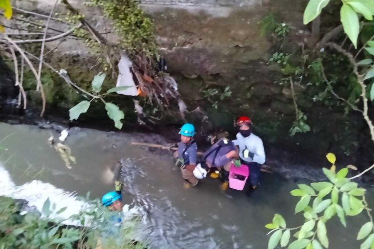 Petugas Diskar PB selamatkan kucing terjebak di bebatuan sungai