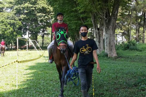 Sedang Belajar Berkuda, Kenali Kondisi Kuda dari Posisi Telinganya