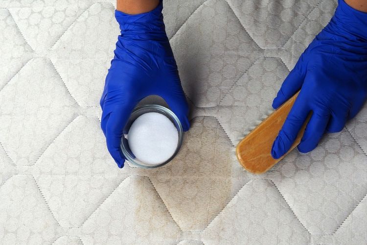 ilustrasi membersihkan kasur tanpa vacuum celaner