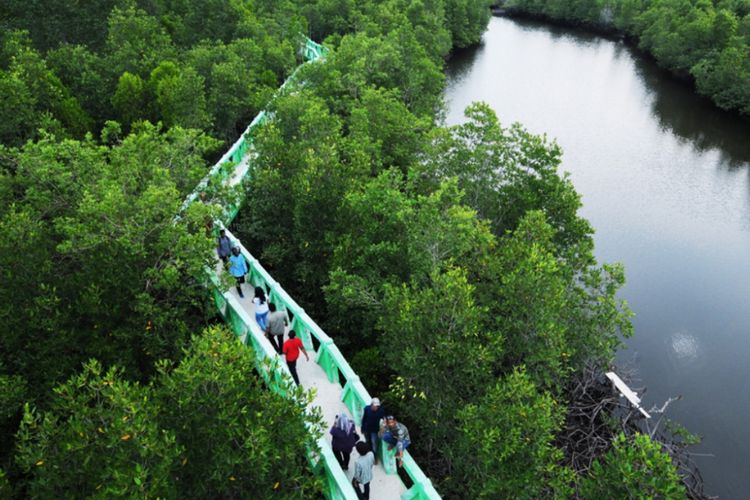 Wisatawan berjalan mengelilingi jembatan penghubung di Hutan Bakau, Kota Langsa, Provinsi Aceh.