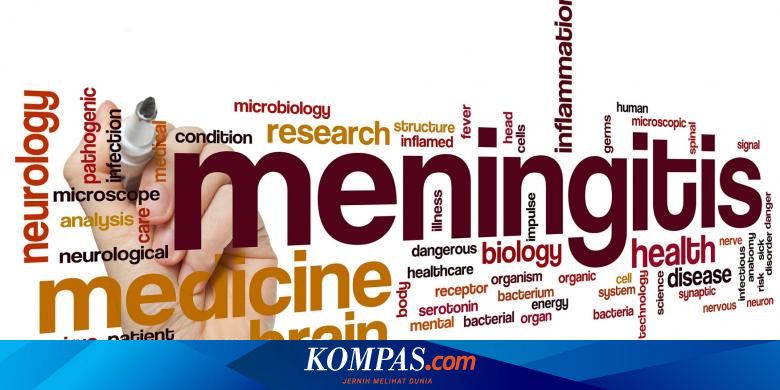 Tak Hanya Meningitis Ini 4 Macam Infeksi Yang Bisa Menyerang Otak Halaman All Kompas Com