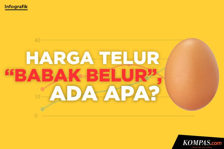 Infografik Harga Telur Ayam