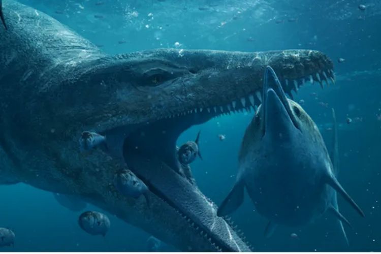 Foto ilustrasi: Pliosaurus memiliki kecepatan dan kekuatan untuk mengalahkan reptil laut besar lainnya.
