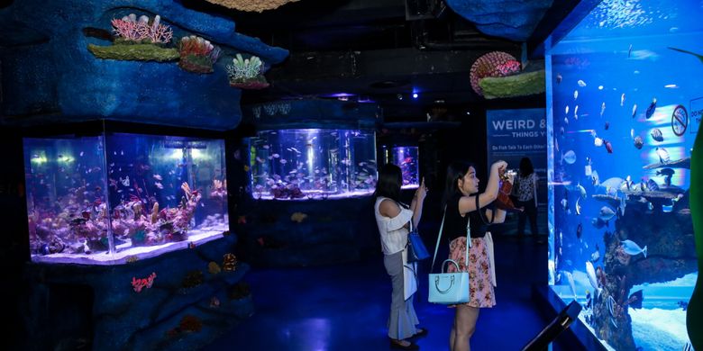 Pengunjung mengisi liburan dengan berkunjung ke Jakarta Aquarium di Neo SOHO Mall, Jakarta Barat, Selasa (16/10/2018). Menteri Kelautan dan Perikanan (KKP), Susi Pudjiastuti meresmikan Jakarta Aquarium yang memiliki konsep edutainment sekaligus dapat menjadi sebuah destinasi wisata baru bagi masyarakat.