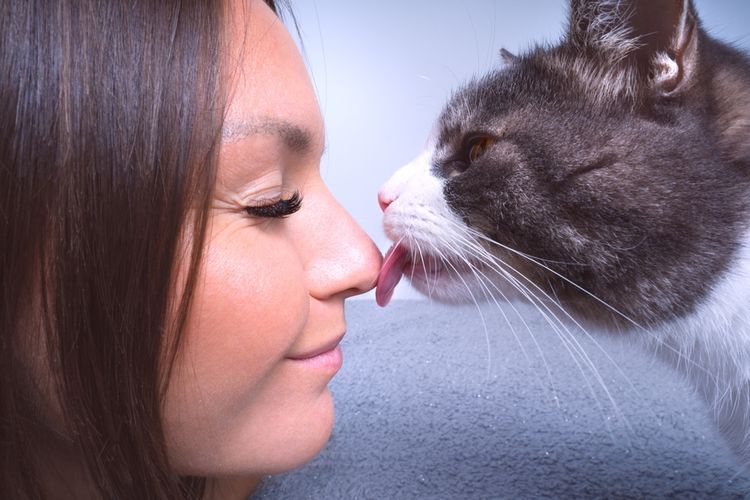 Tidak hanya menimbulkan gatal, ada beberapa efek gigitan kutu kucing pada manusia yang perlu diwaspadai.