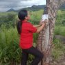 Kisah Guru di Pedalaman Manggarai Timur, Mendaki Bukit untuk Mendapat Sinyal Telepon dan Internet